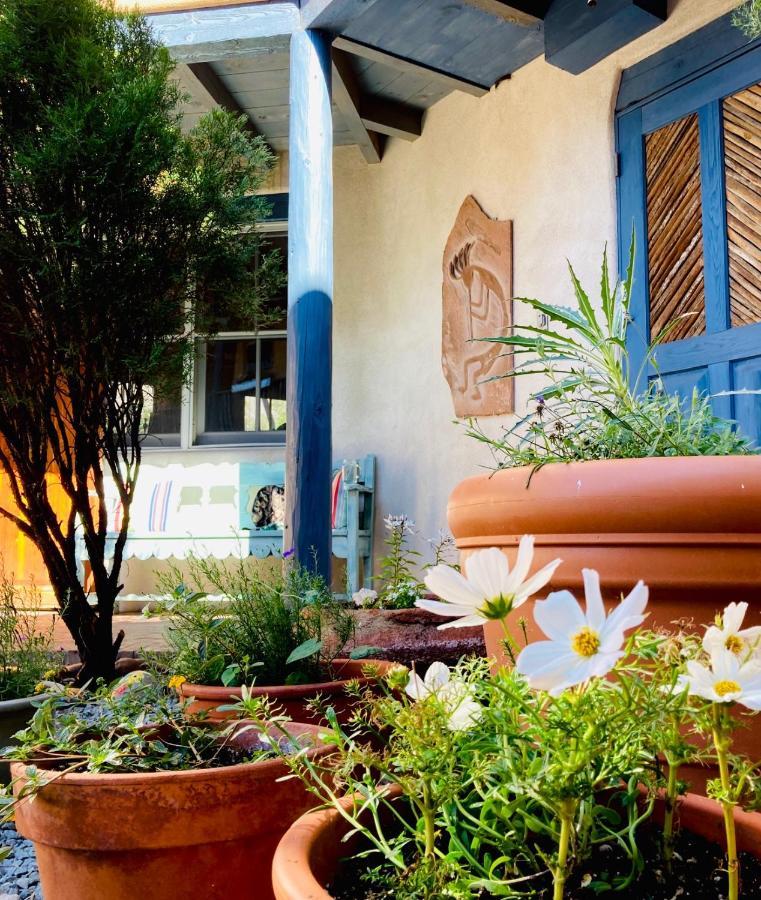 Mini-hôtel Guadalupe